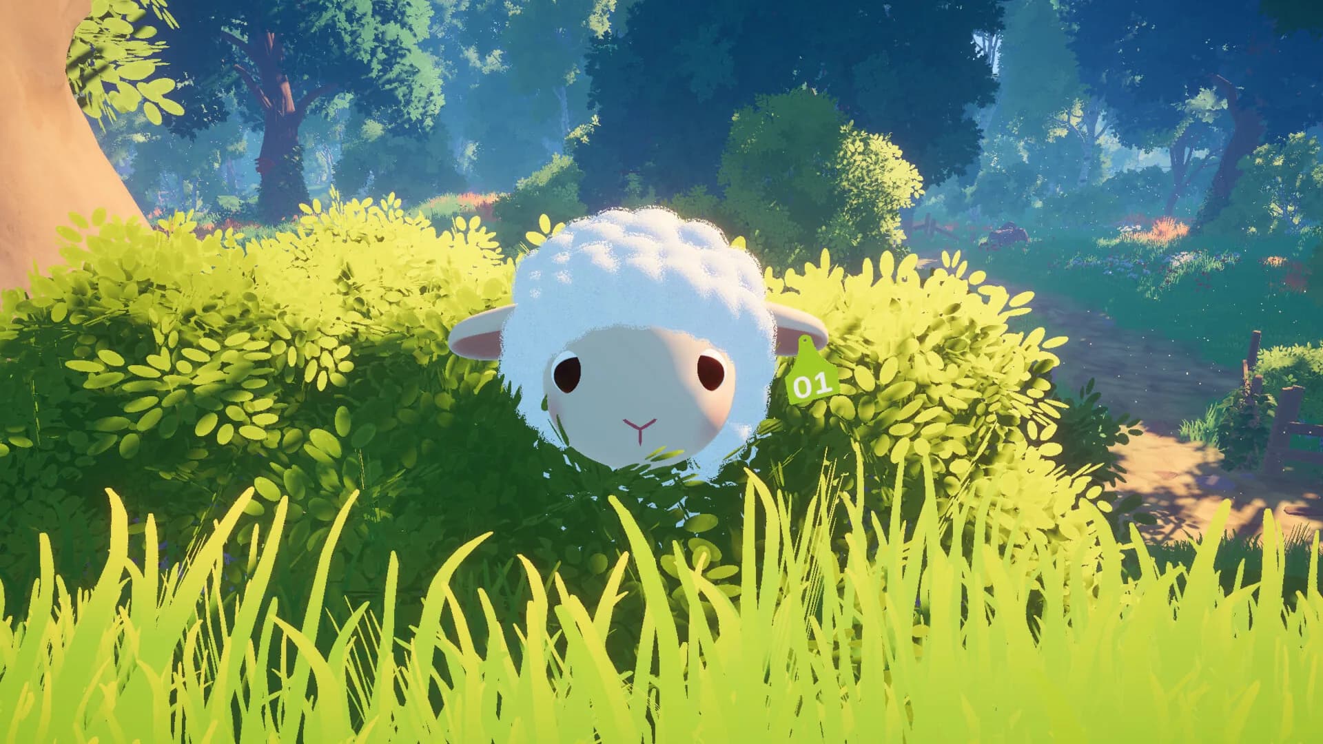 Hide and Sheep görsel 8