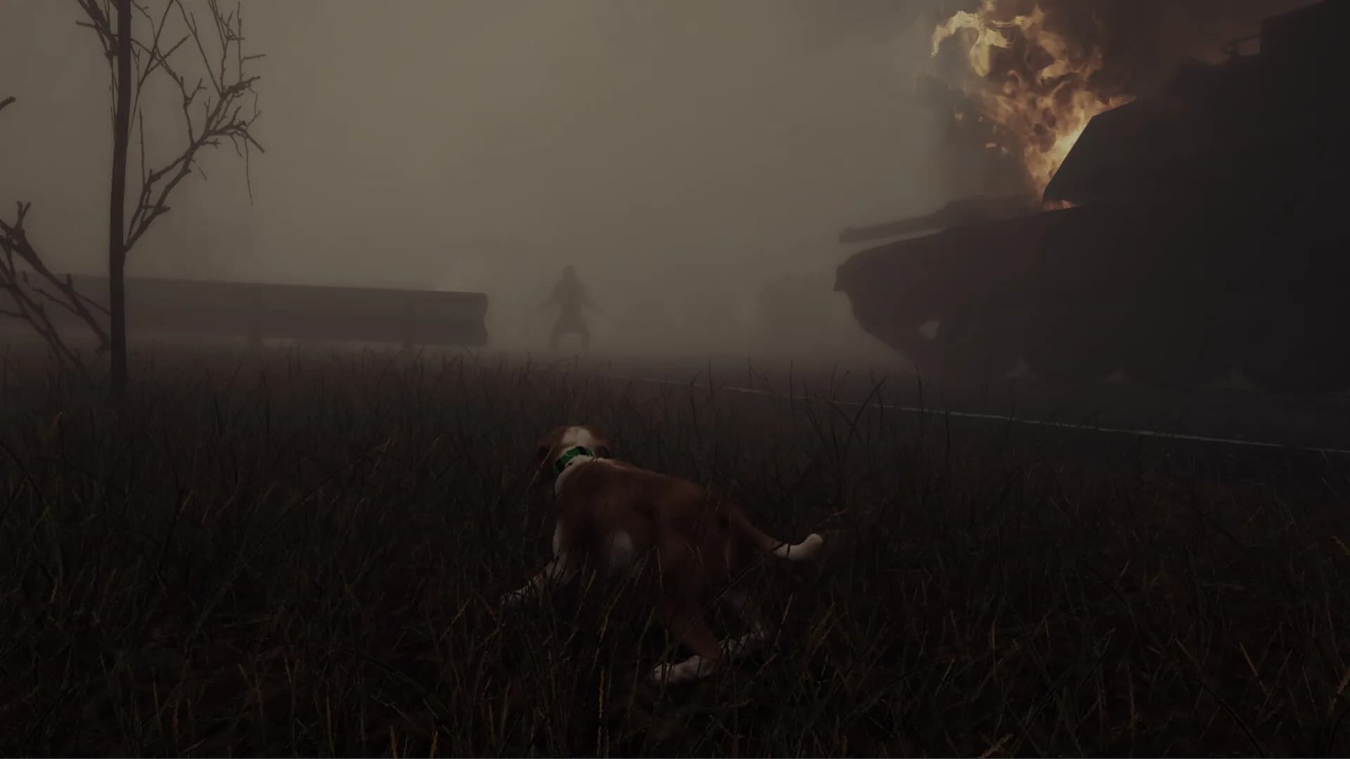 The Good Dog: Chasing Shadows görsel 4