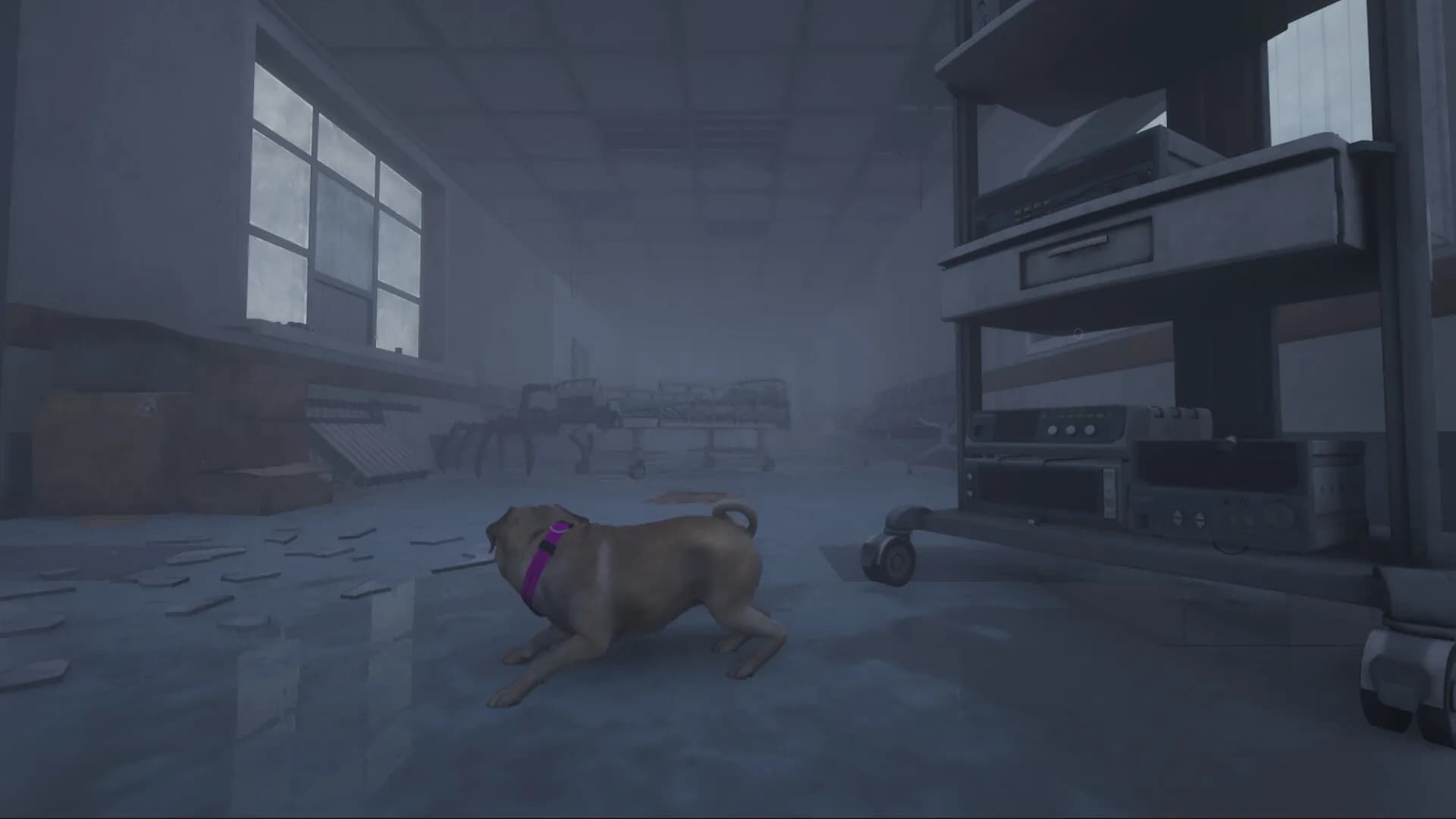 The Good Dog: Chasing Shadows görsel 9