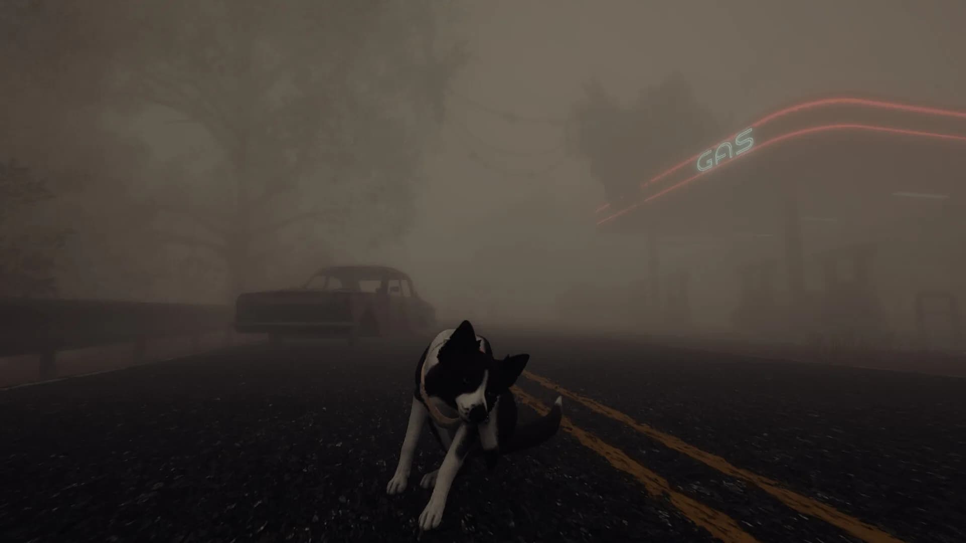 The Good Dog: Chasing Shadows görsel 10