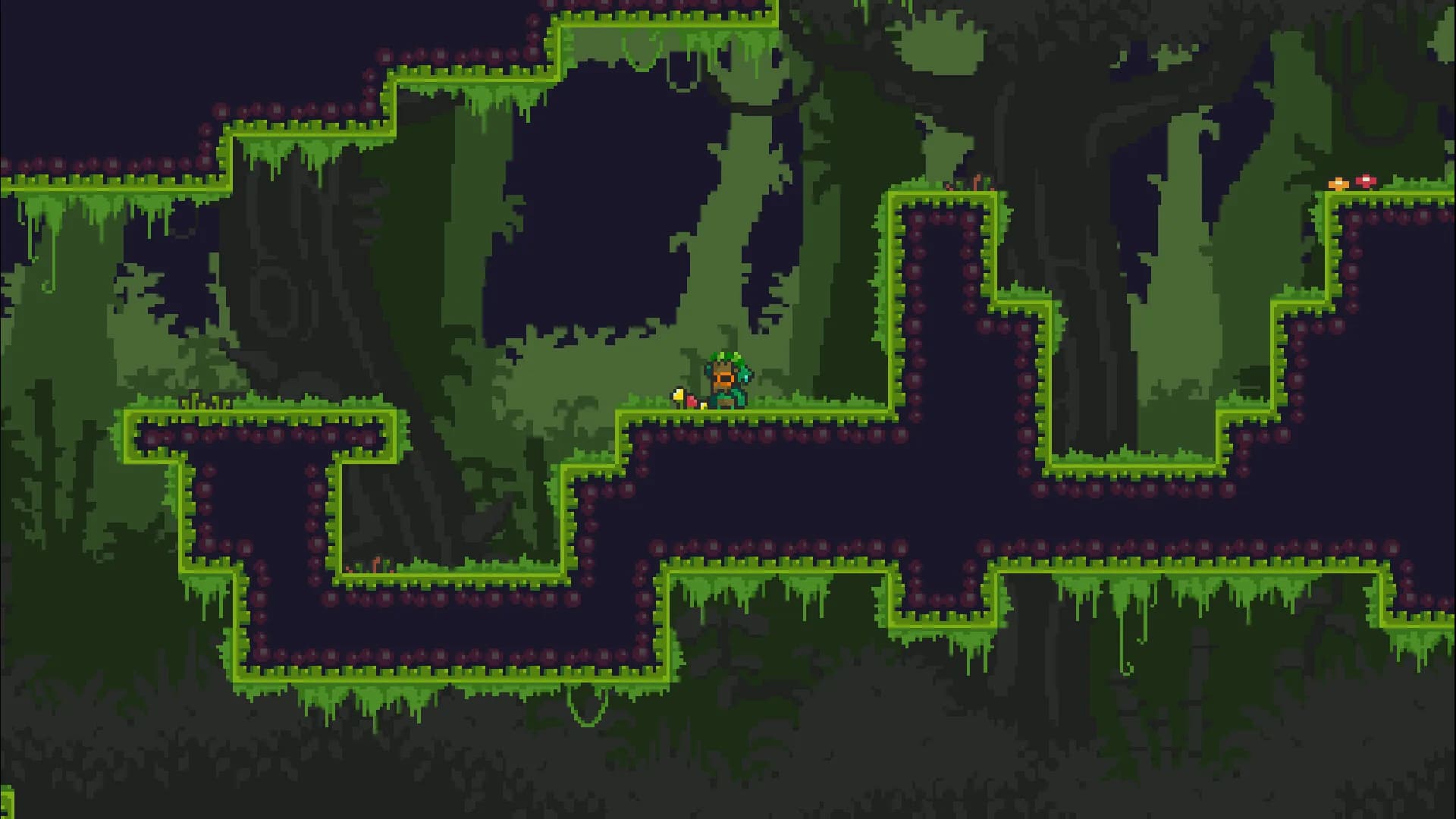 Akaku Forest görsel 2