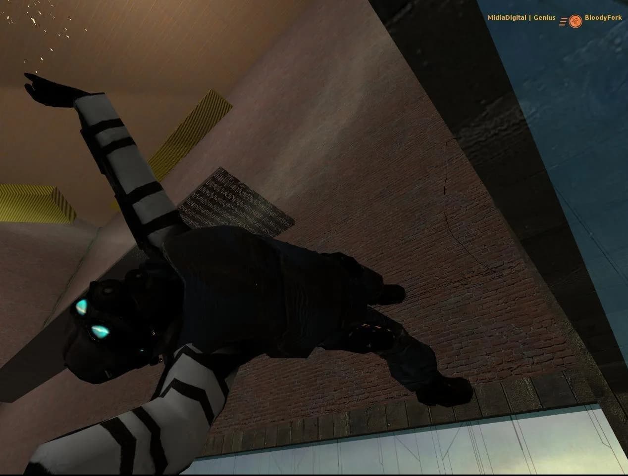 Half-Life 2: Deathmatch görsel 2
