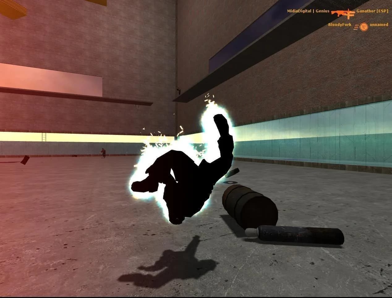 Half-Life 2: Deathmatch görsel 4