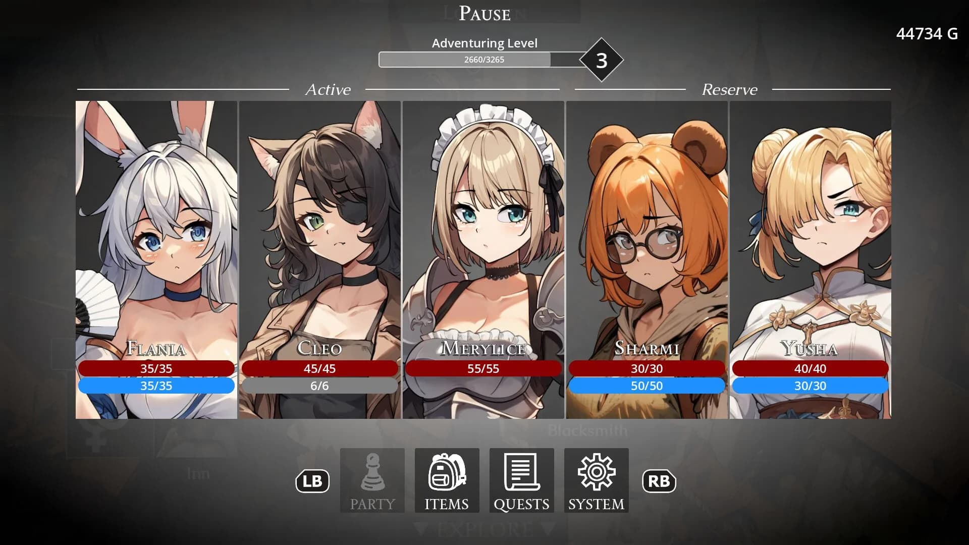 Slave Harem görsel 11