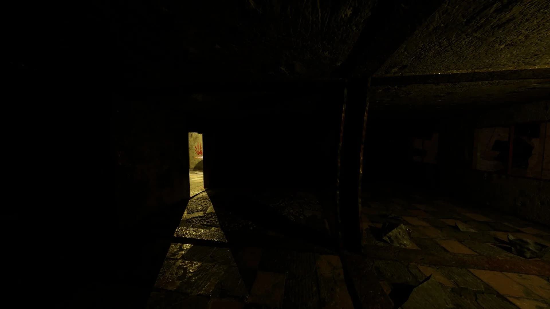 The Vanishing görsel 4