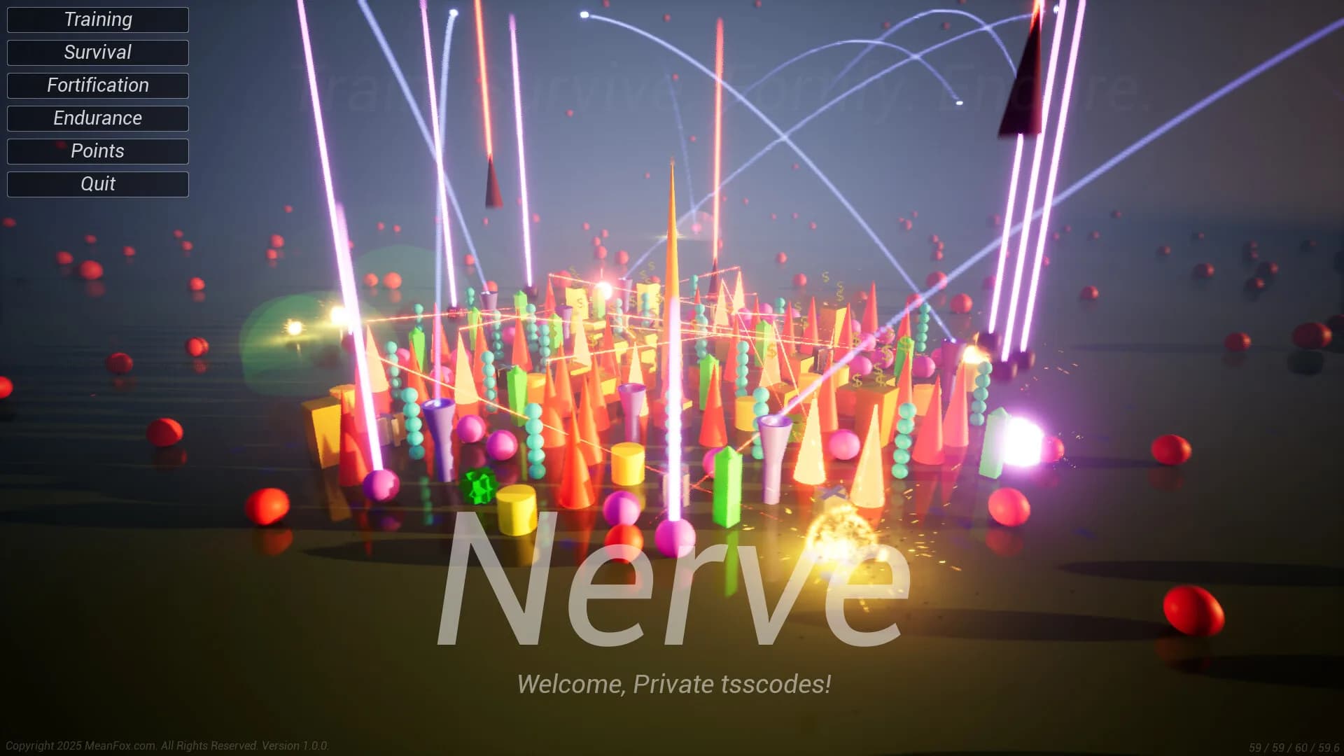 Nerve görsel 2