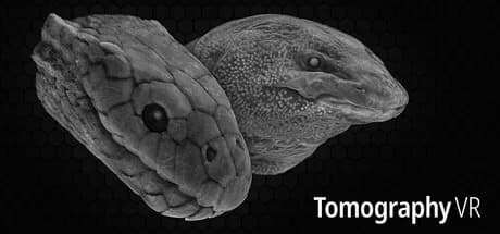 Tomography VR görsel 1
