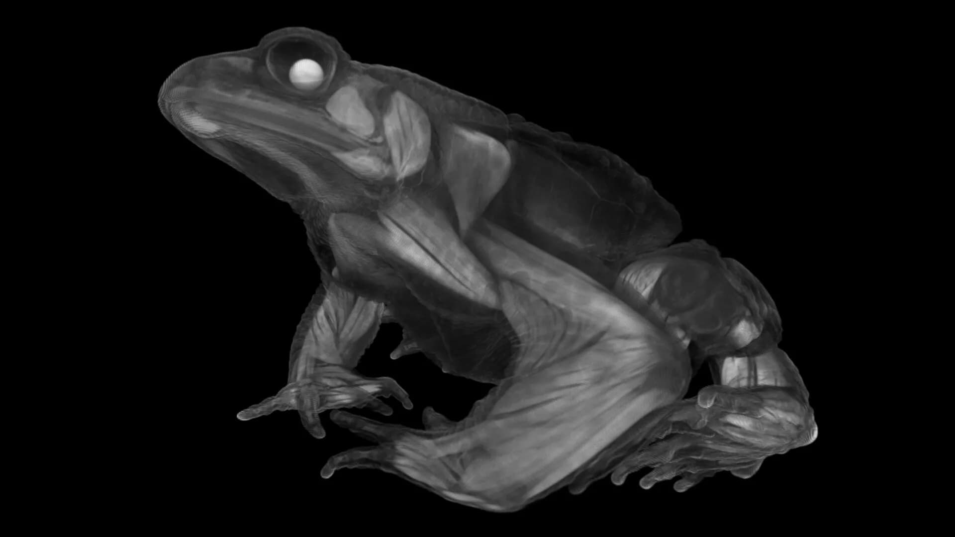 Tomography VR görsel 3