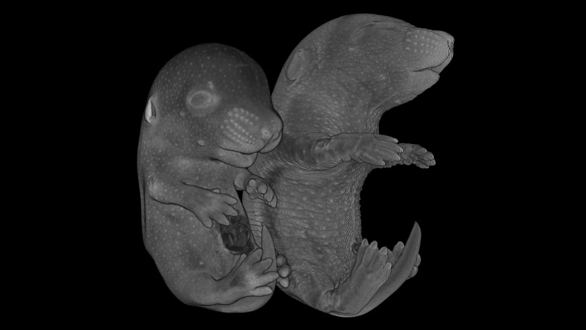 Tomography VR görsel 5