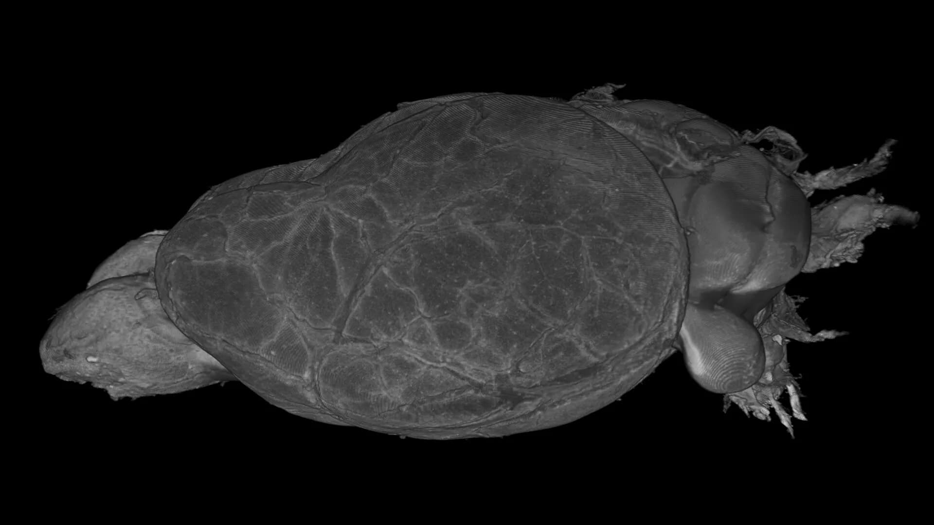 Tomography VR görsel 6