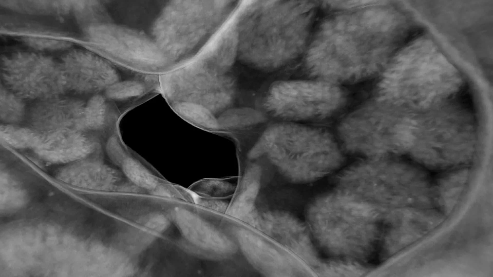 Tomography VR görsel 8