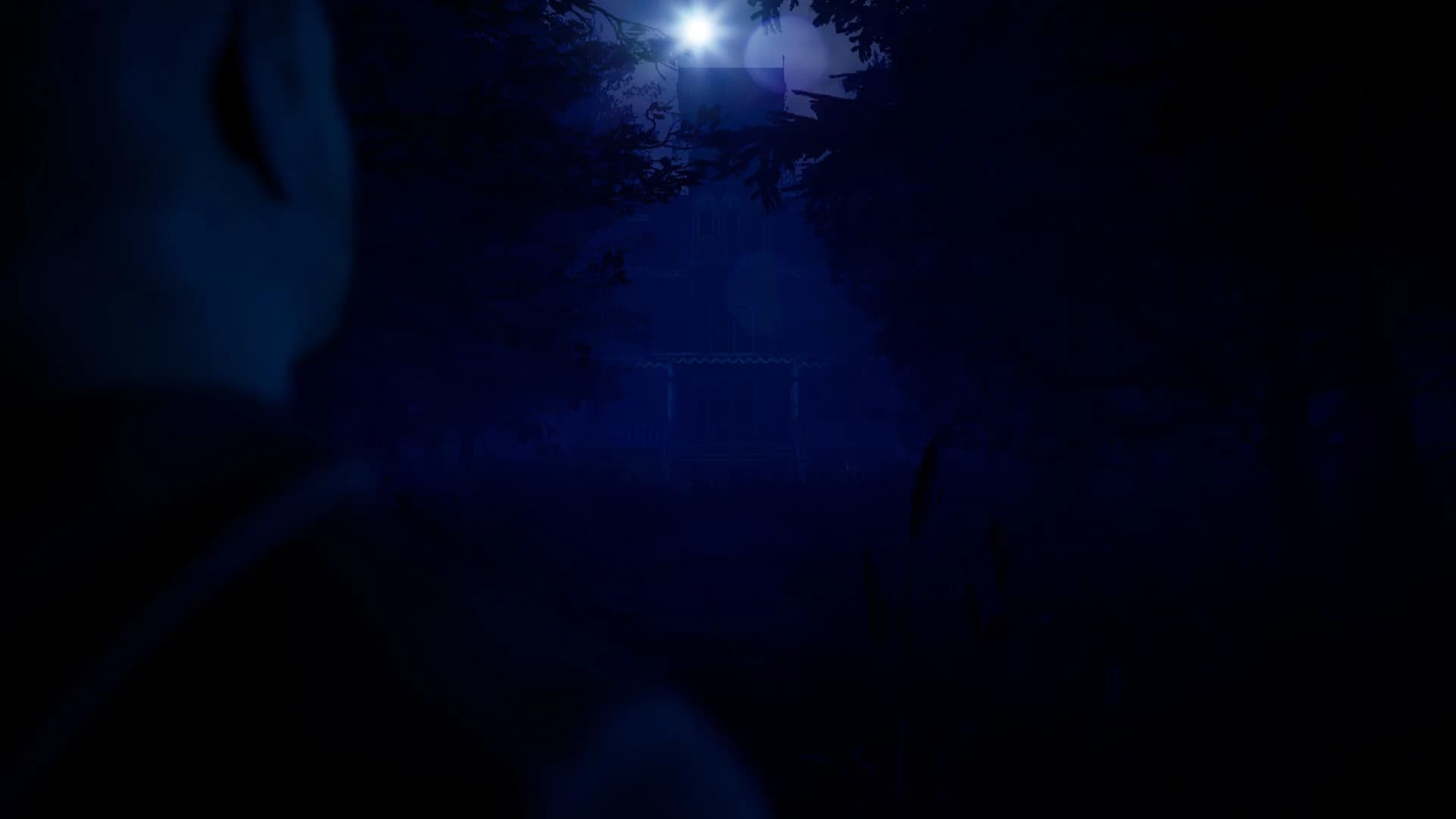 Blue Light görsel 3