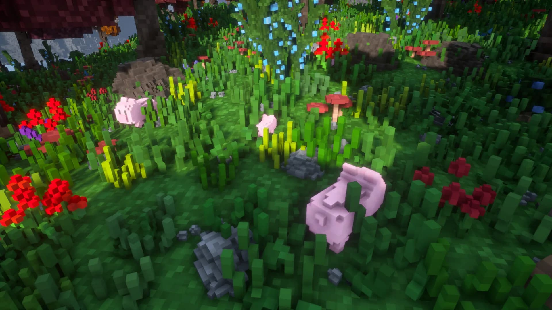 SurvivalWorld görsel 13
