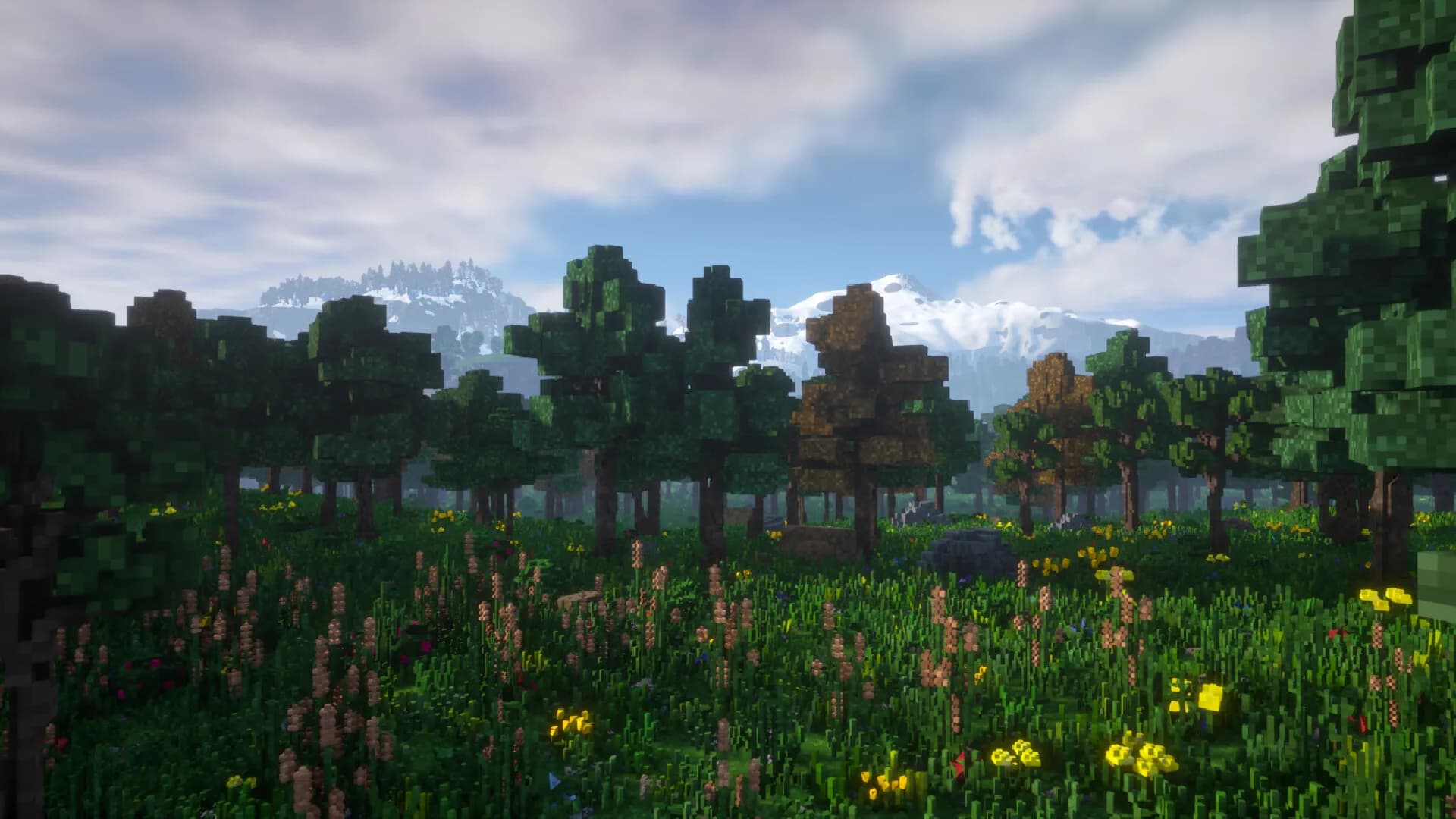 SurvivalWorld görsel 5