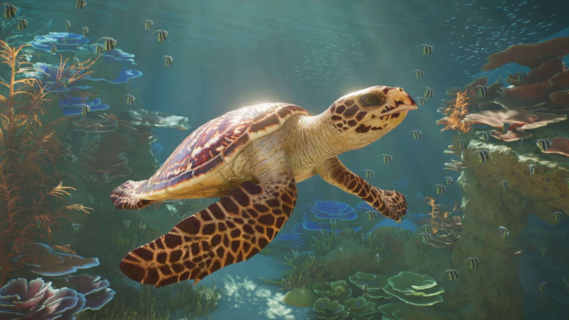 Planet Zoo 2 görsel 3