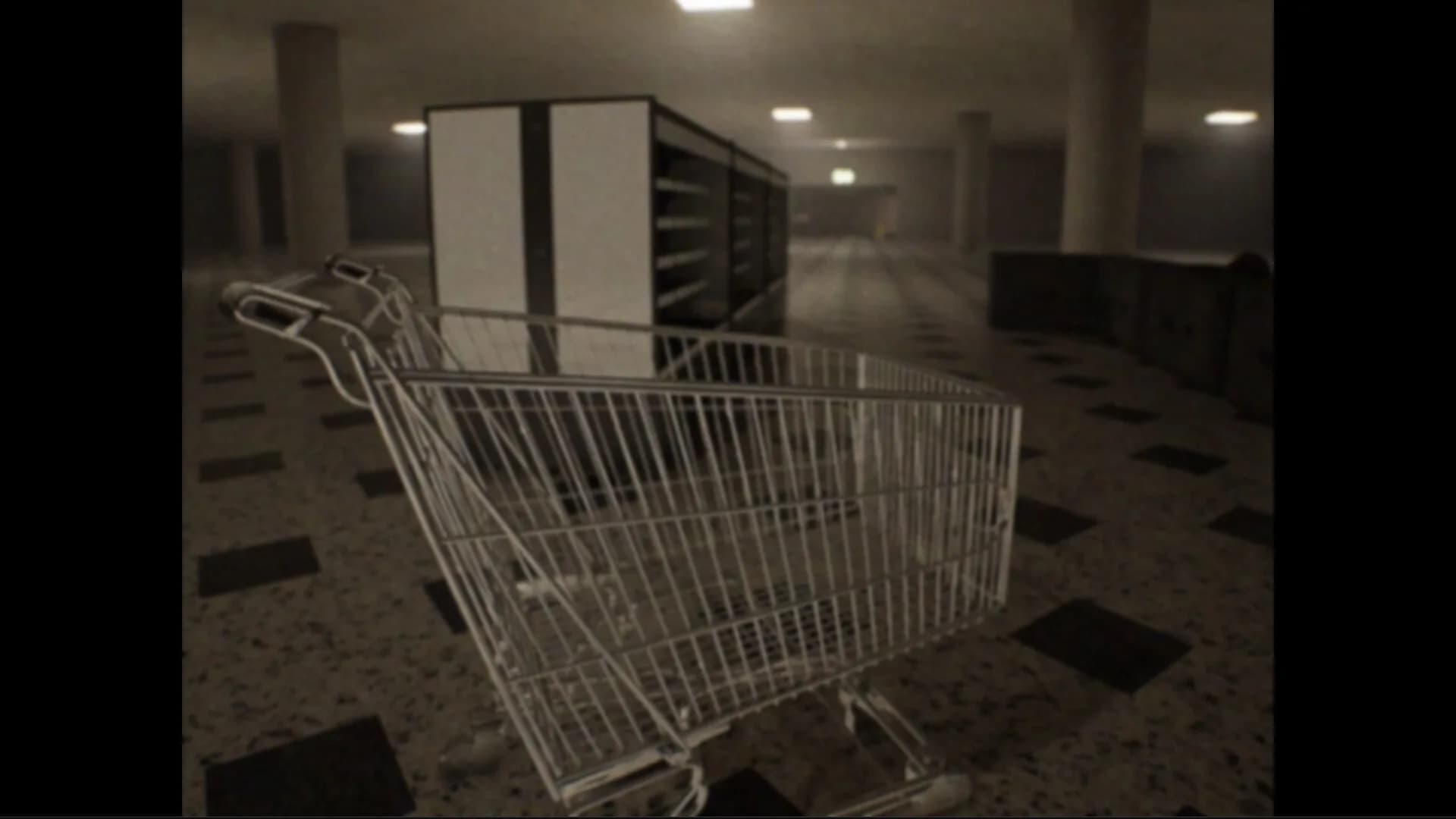 HELLCAM görsel 12
