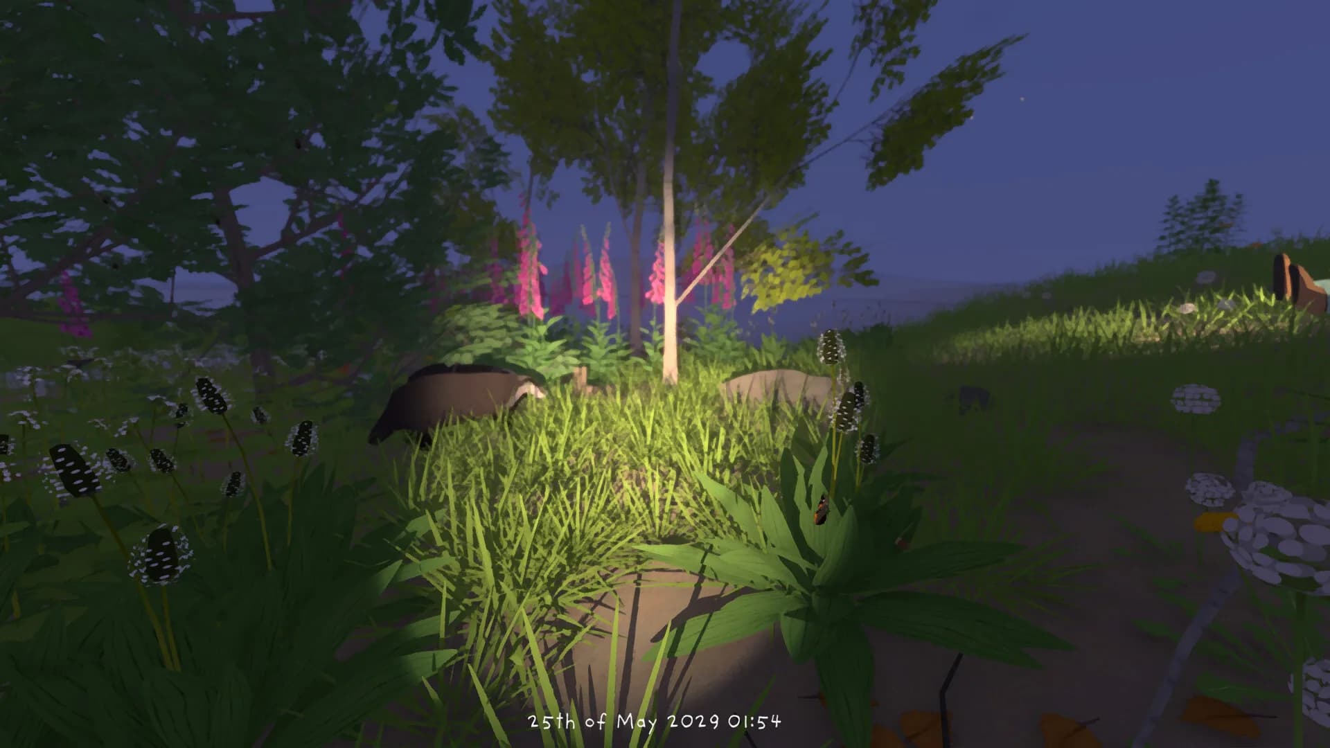 Grow Wild görsel 12