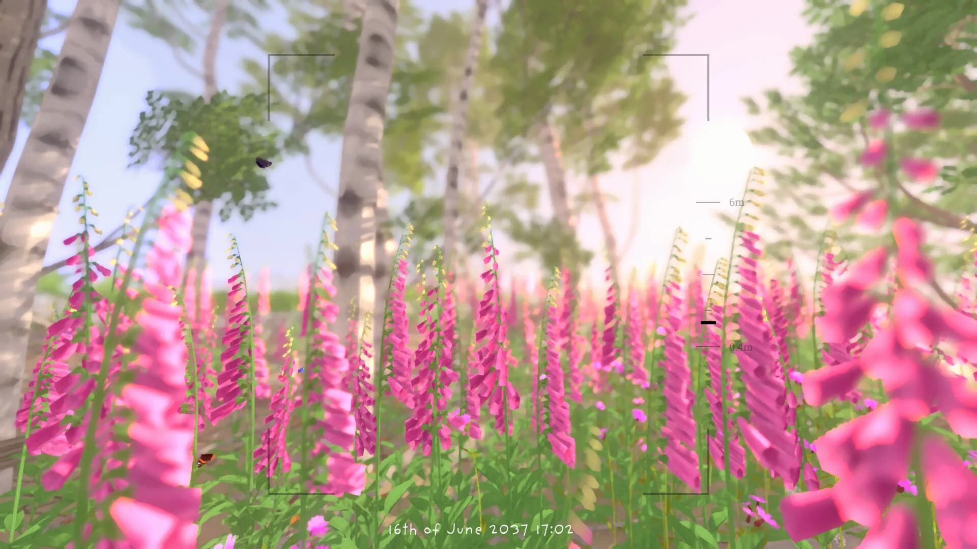 Grow Wild görsel 21