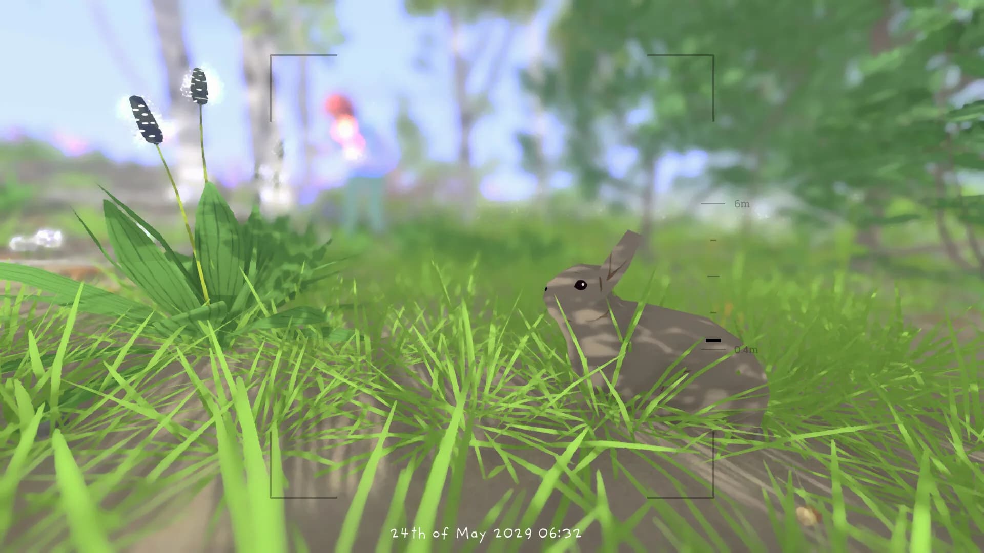 Grow Wild görsel 8