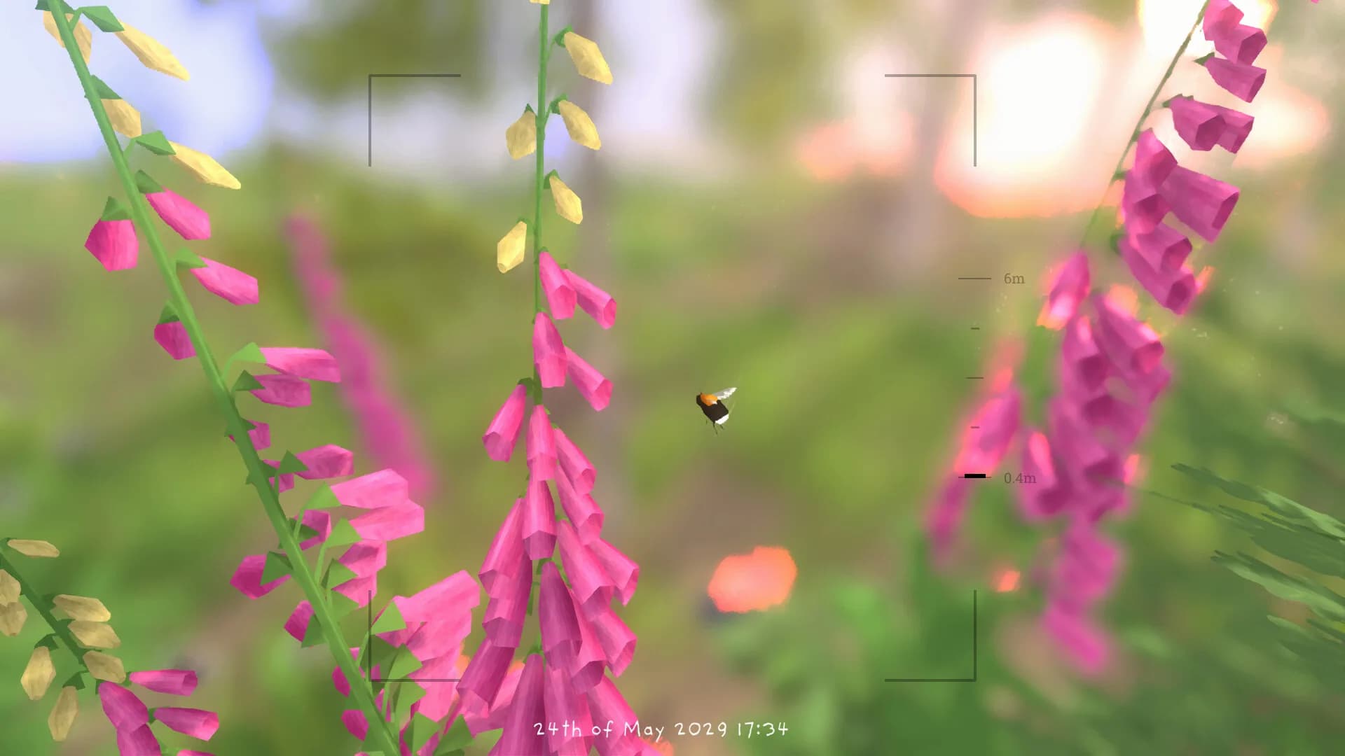 Grow Wild görsel 9