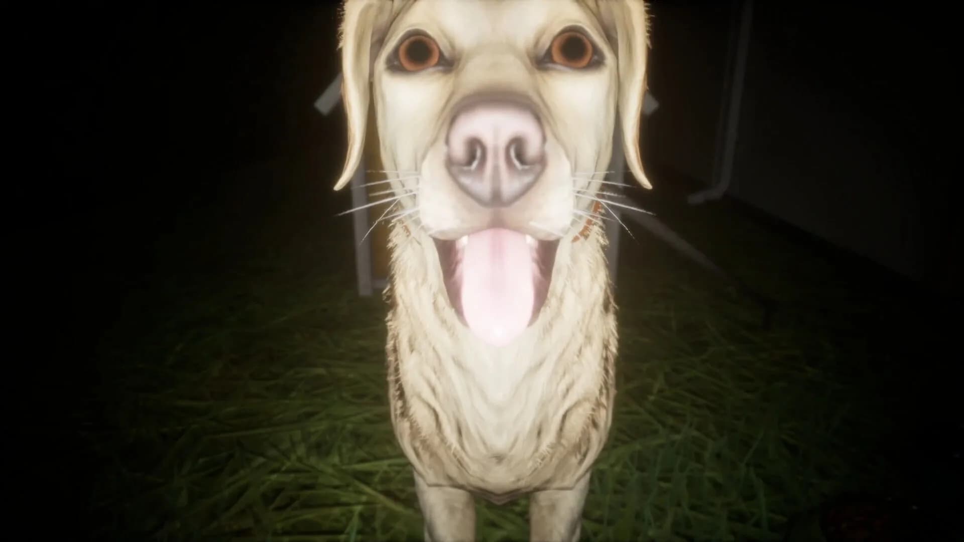 たんぼ görsel 5