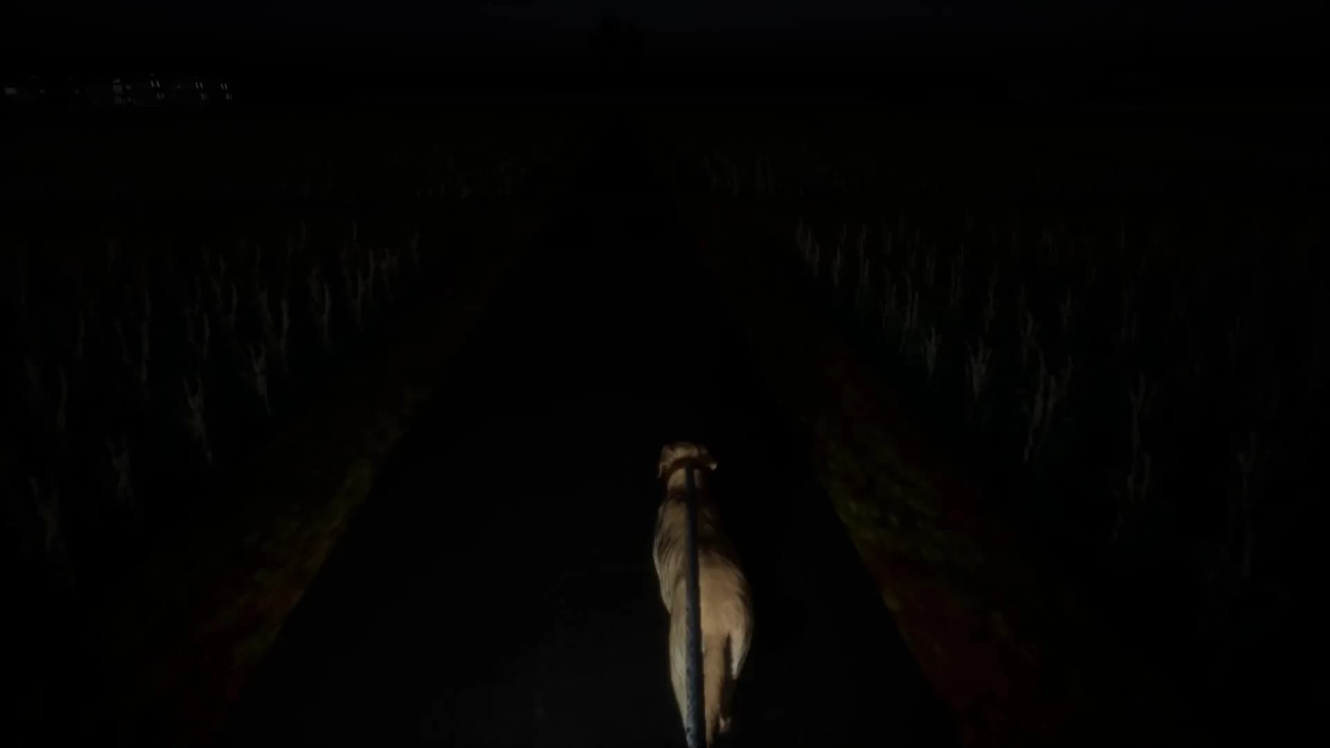 たんぼ görsel 7