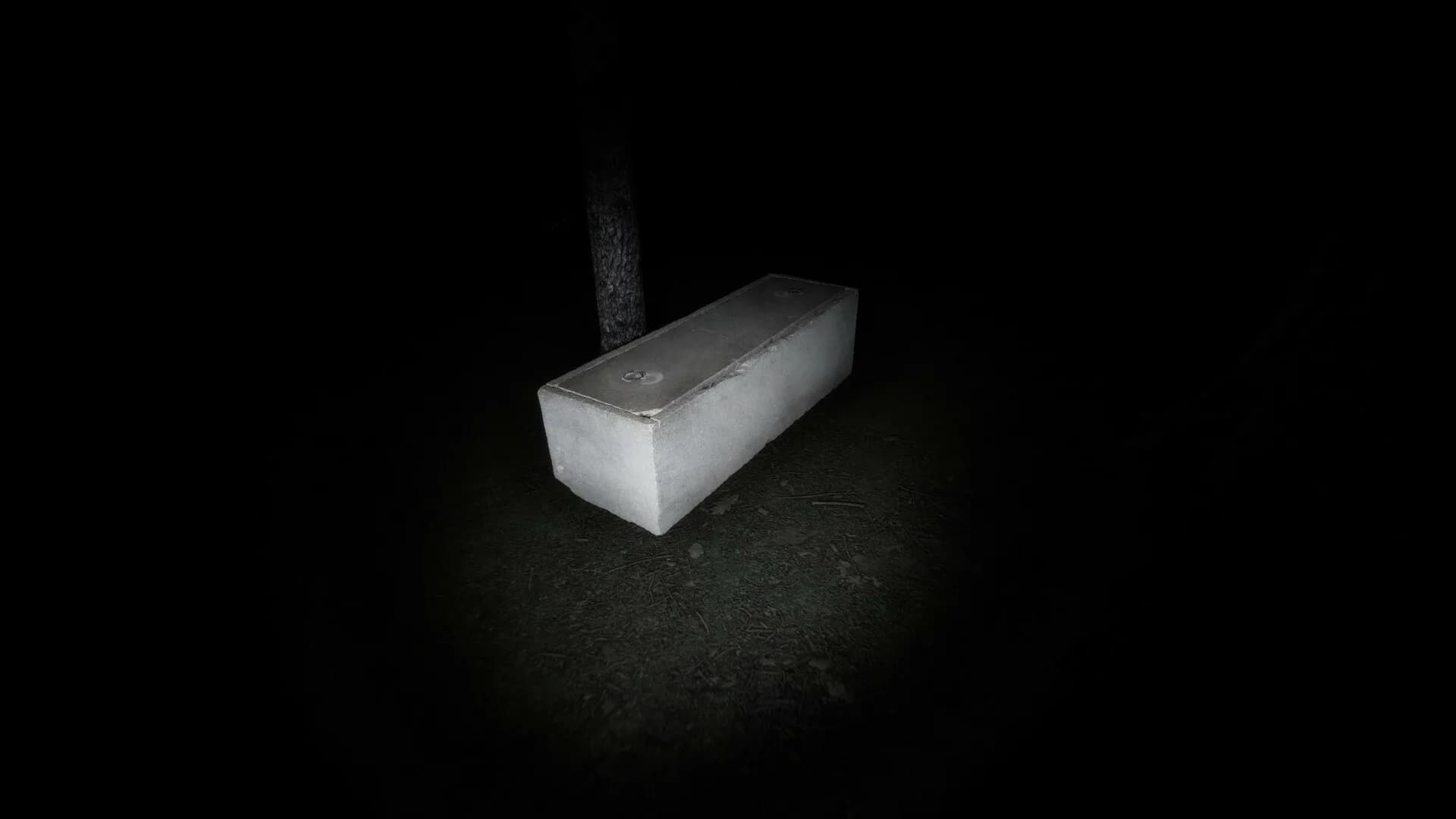 Backrooms: The Lost Circus görsel 11
