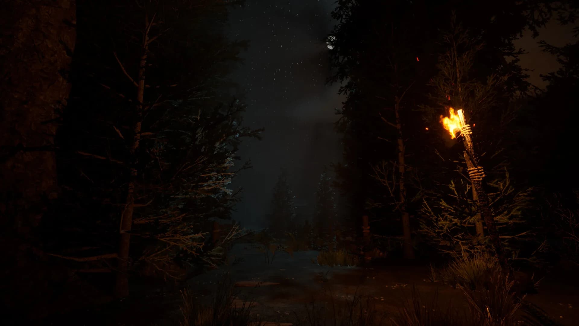 The veil of the forgotten görsel 5