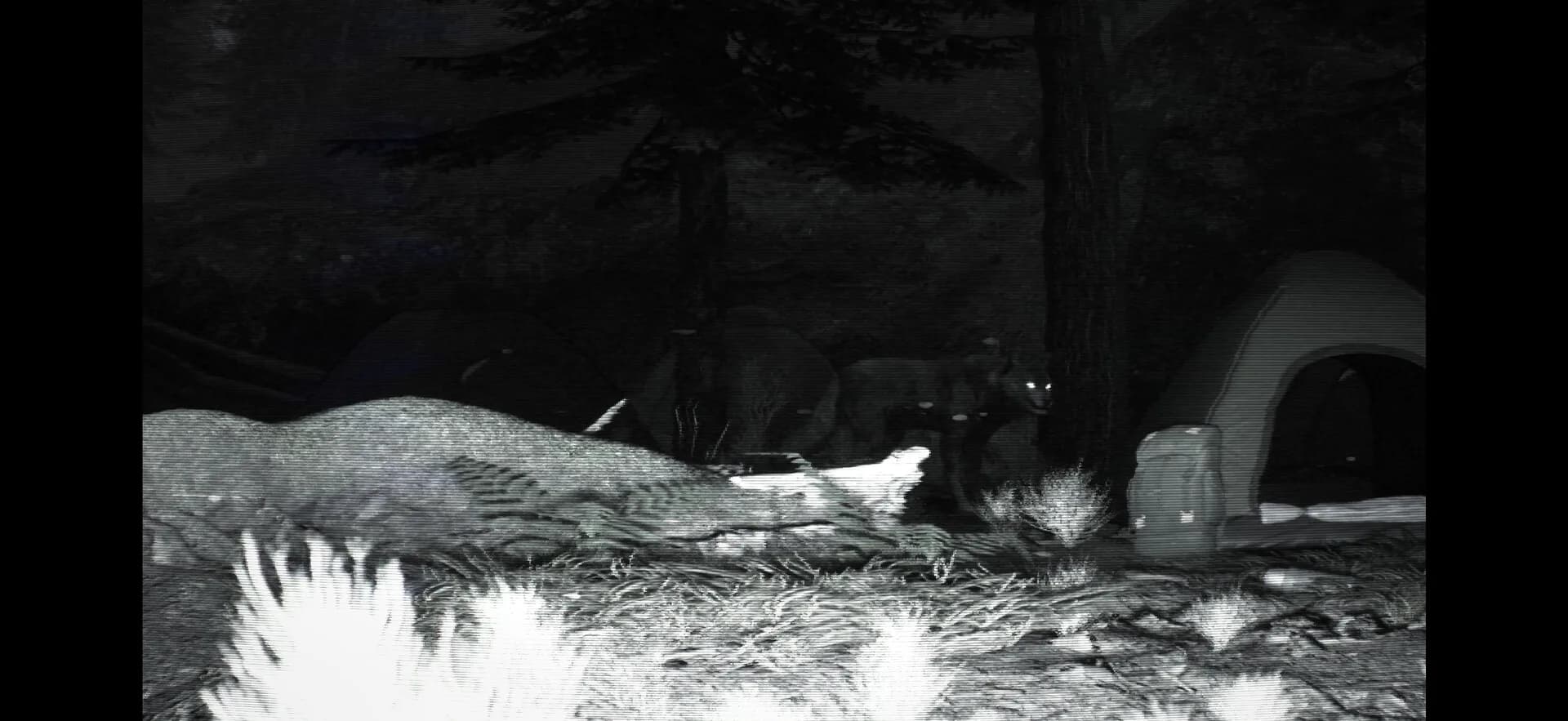 TRAILCAM görsel 3