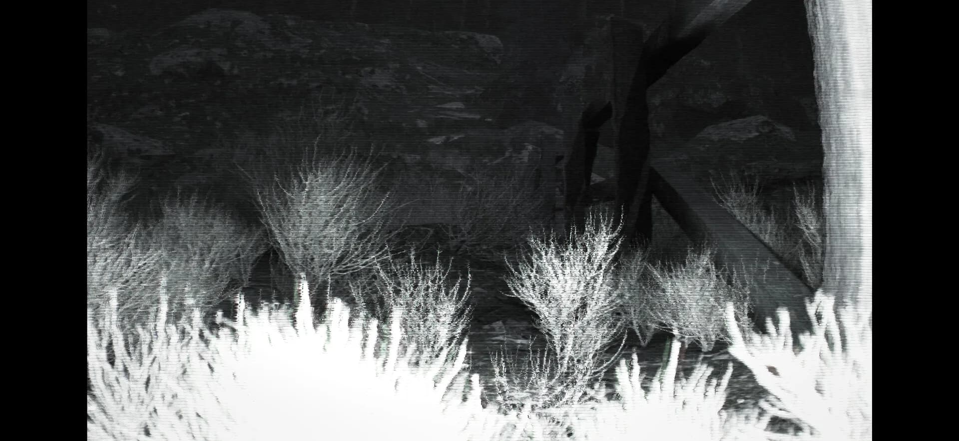TRAILCAM görsel 6