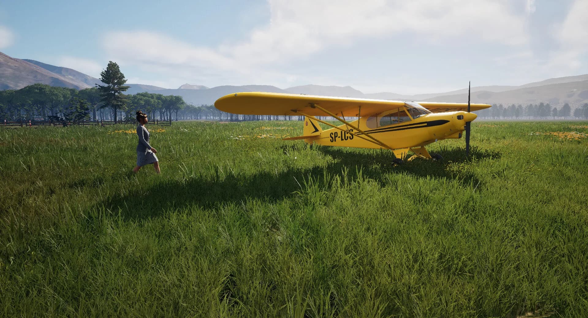 Airport Manager görsel 2