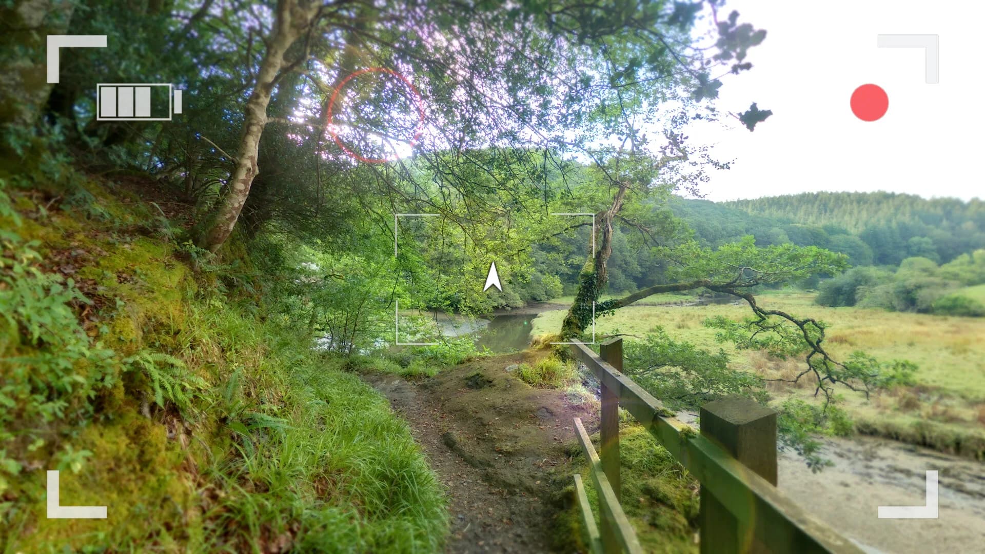 Wychwood Hollow görsel 6
