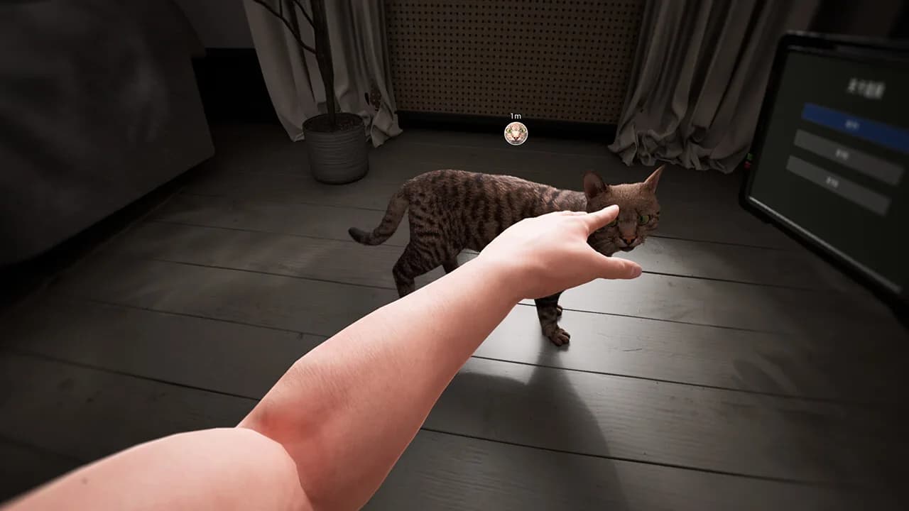 猫咪漂移 Cat Drift görsel 4