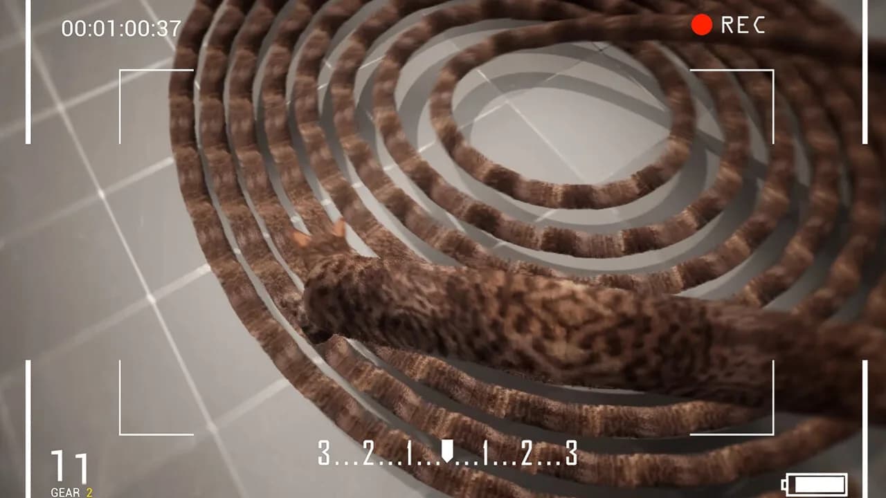 猫咪漂移 Cat Drift görsel 6