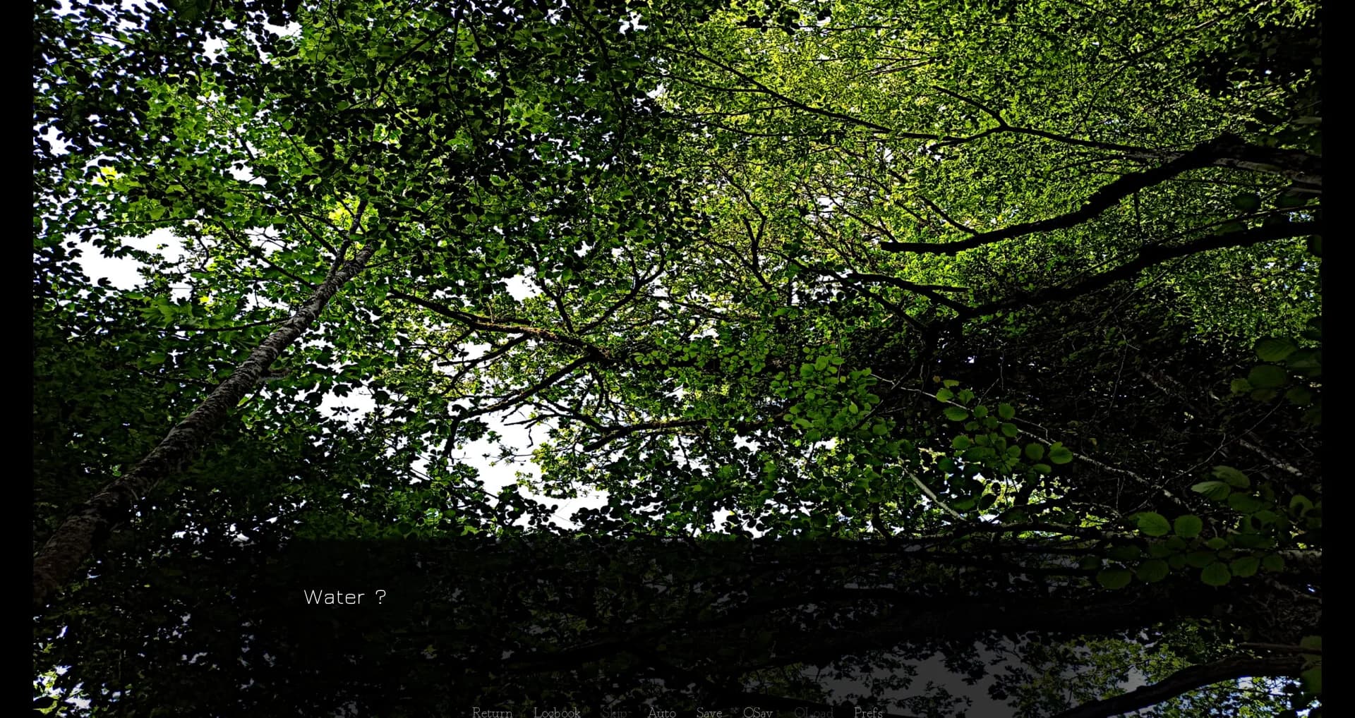 Ämäränth : The Last Day of My Adolescence görsel 6