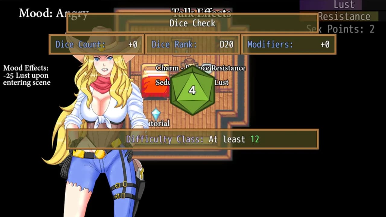 Cowgirl Trainer görsel 2