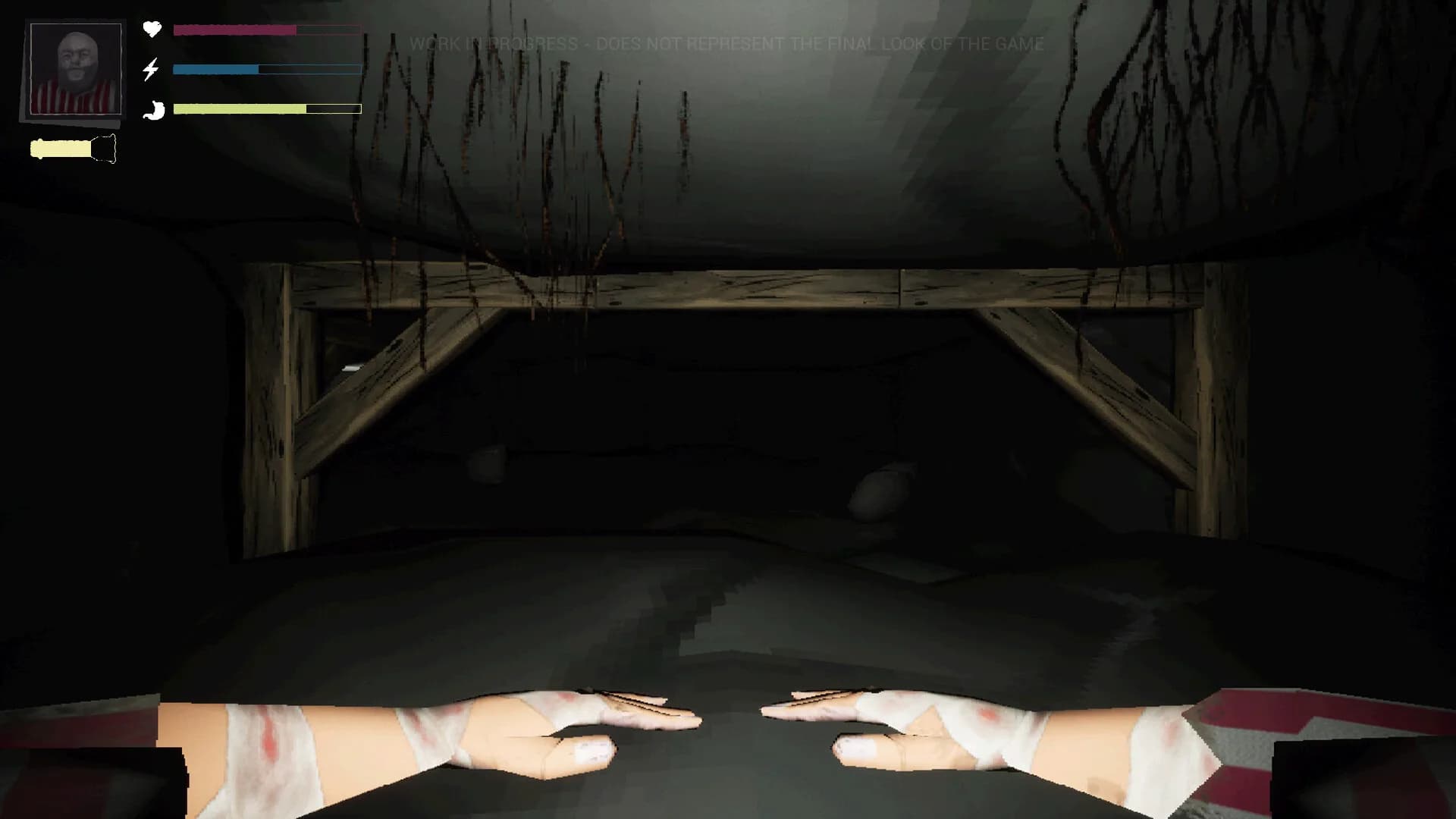 PETRACAL görsel 2