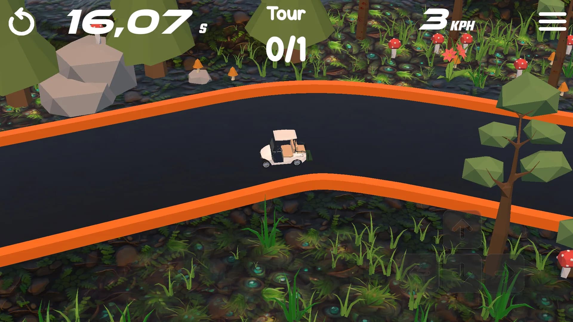 Formula Rush görsel 5