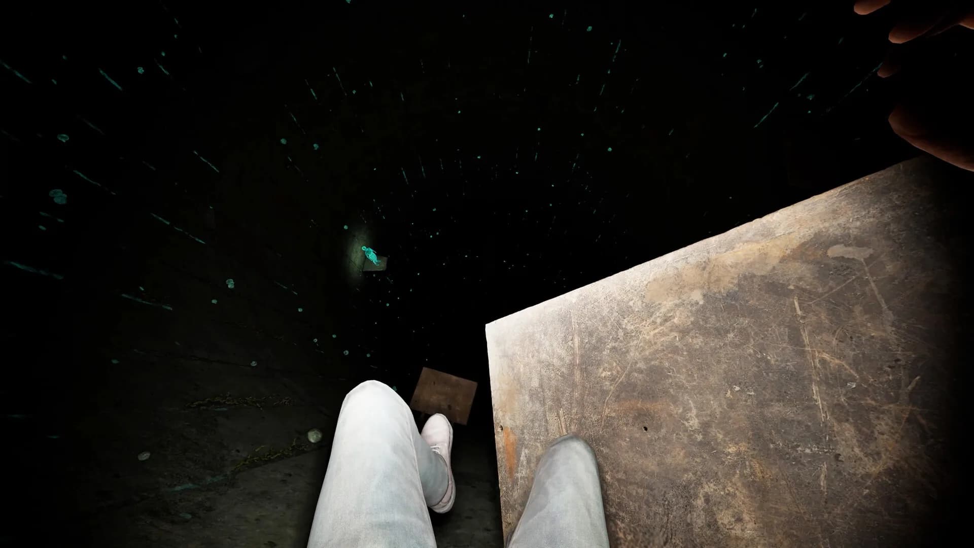 Fallen: Into the Darkness görsel 2