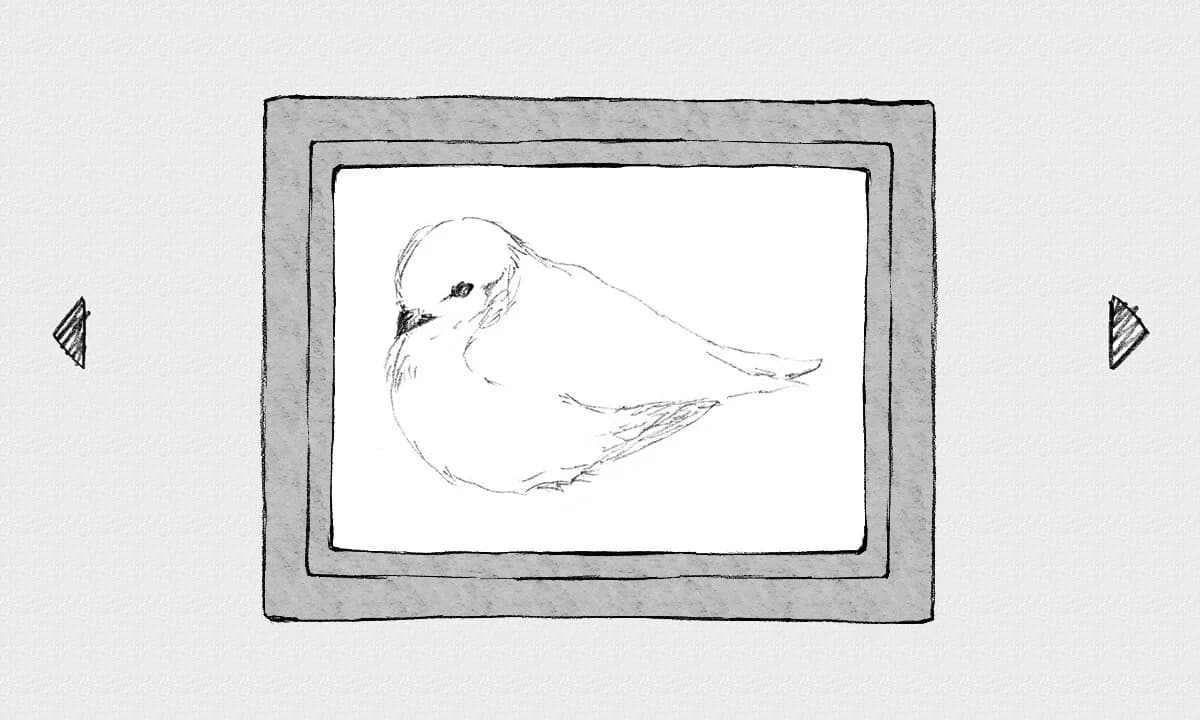 STRAY SKETCH görsel 4