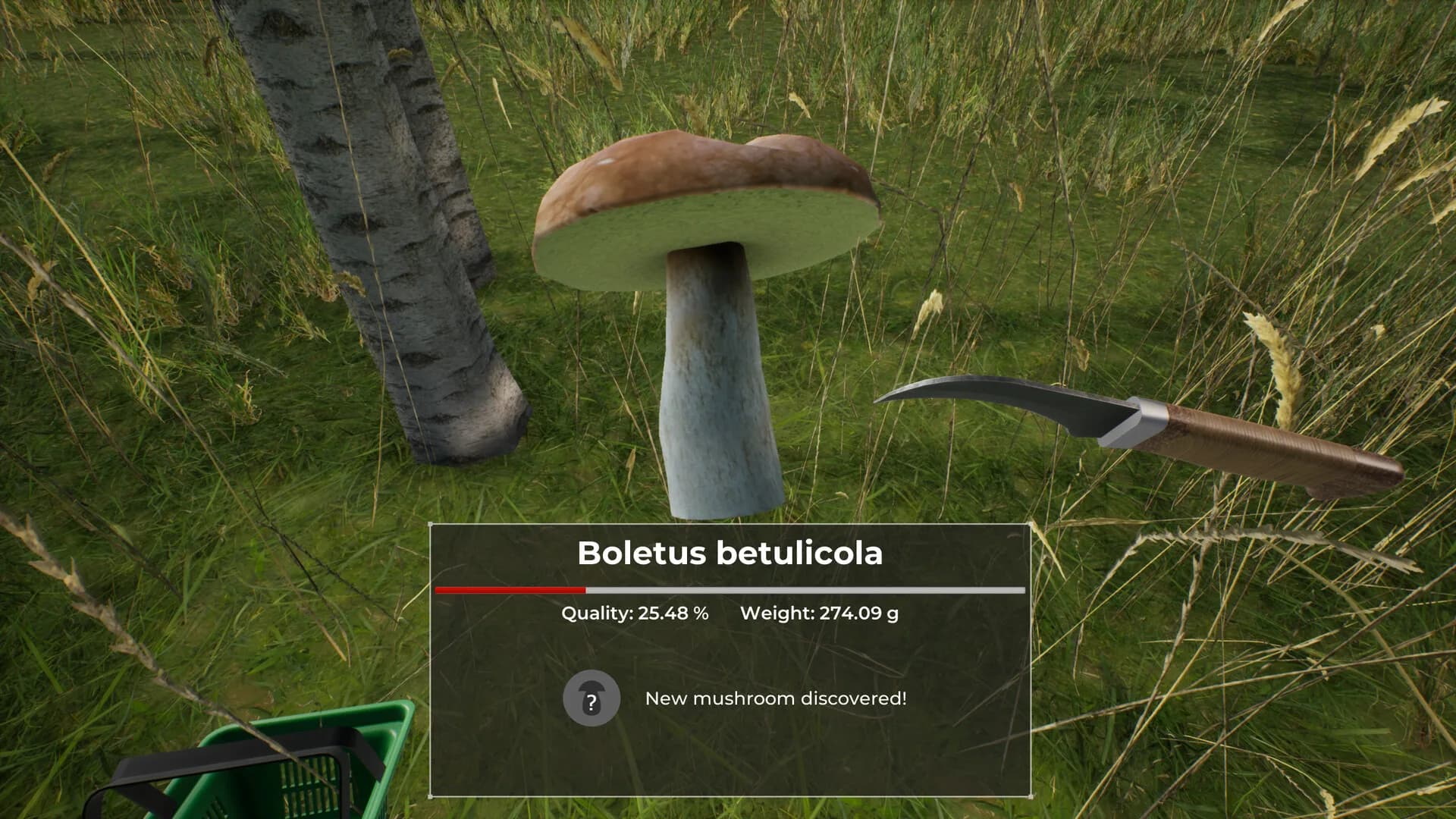 Mushroom Hunter World görsel 3