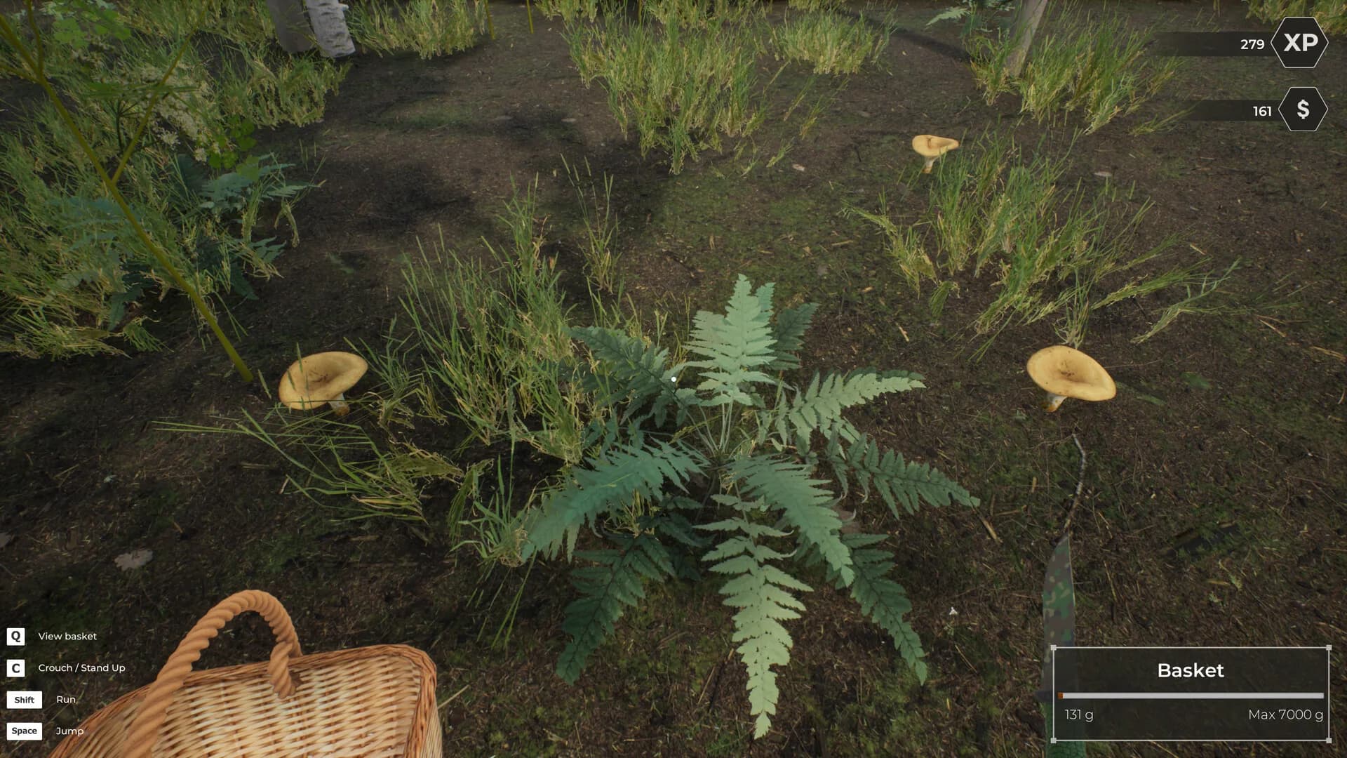 Mushroom Hunter World görsel 12