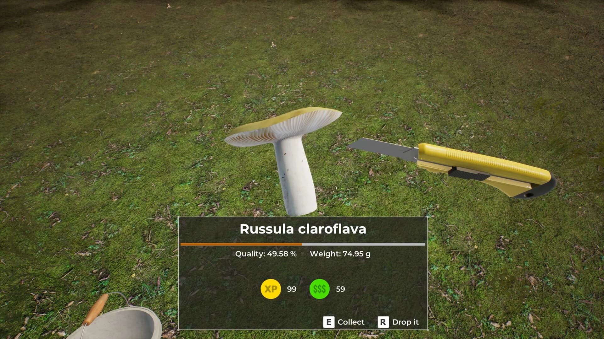 Mushroom Hunter World görsel 7