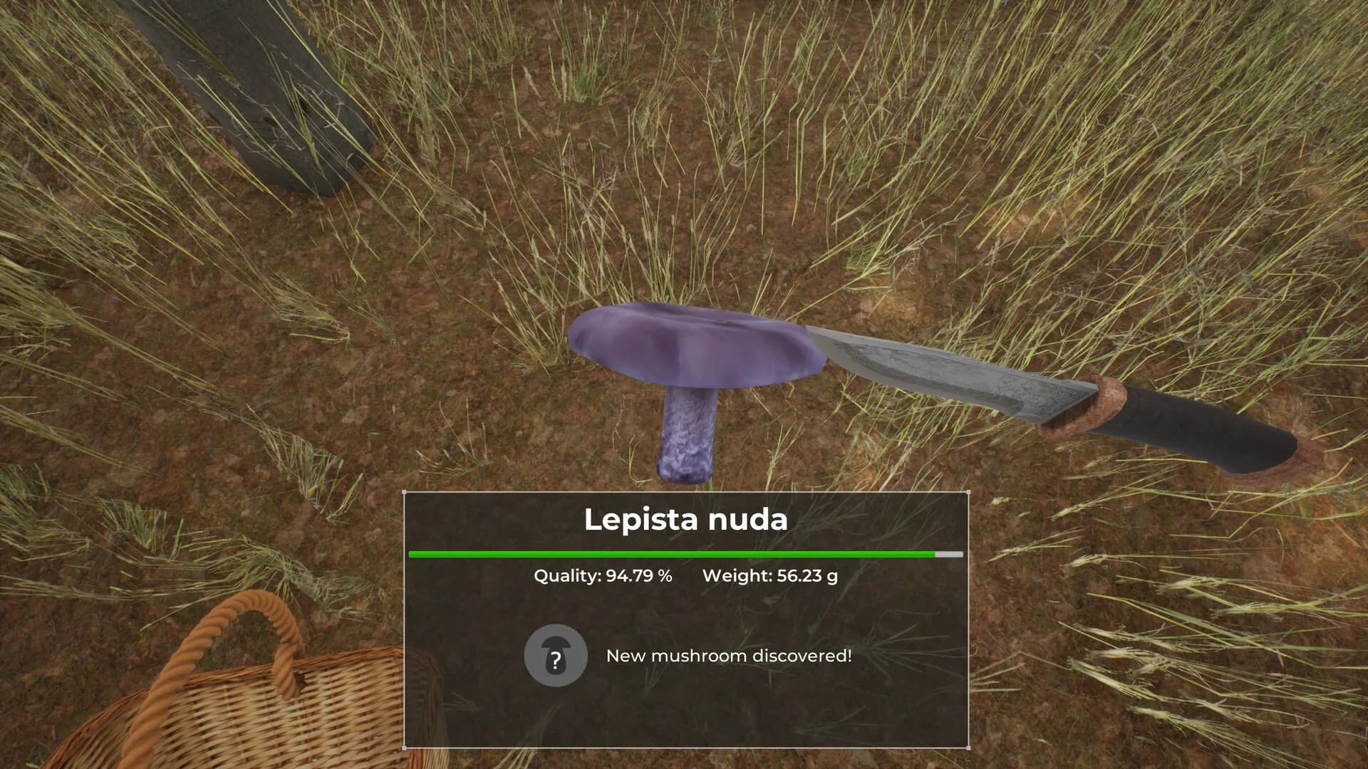 Mushroom Hunter World görsel 9