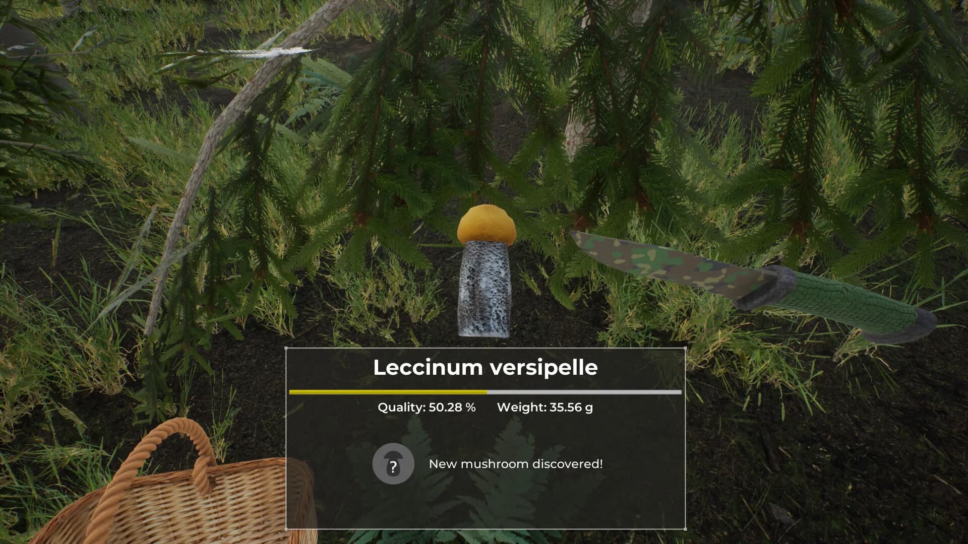 Mushroom Hunter World görsel 11