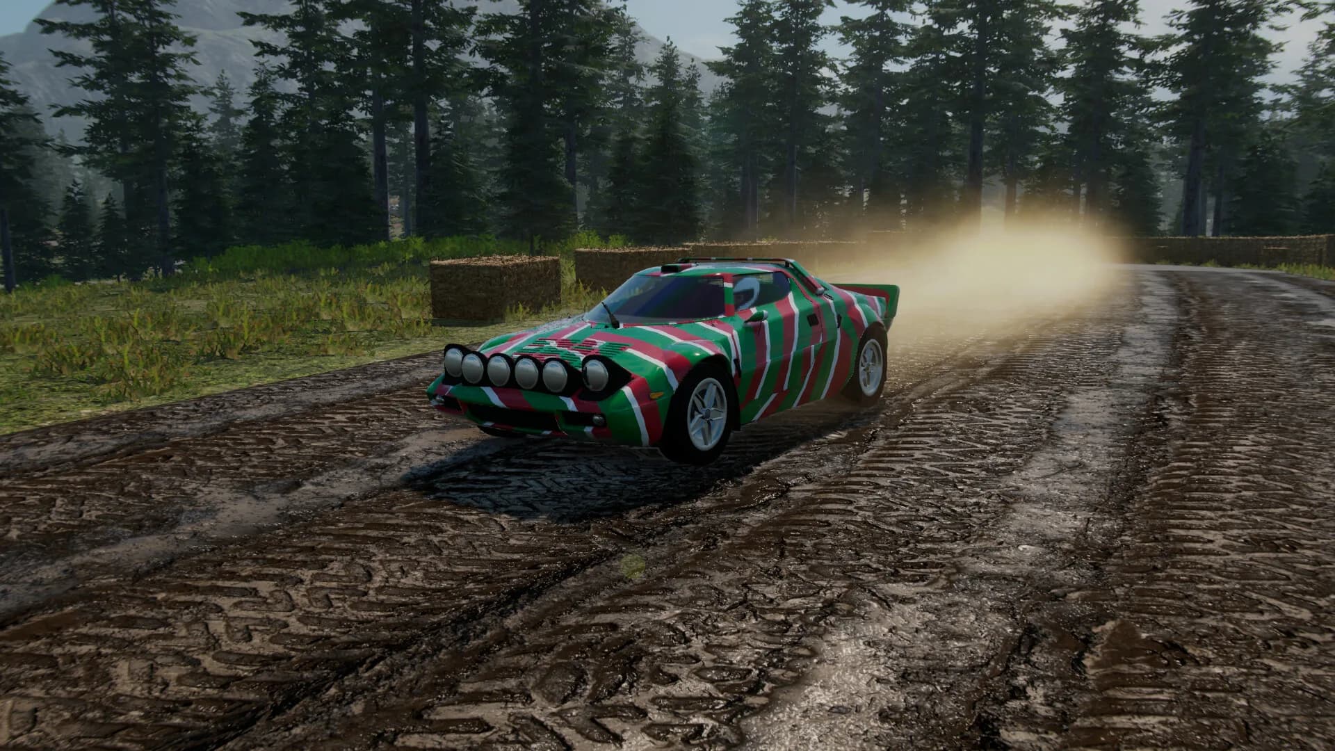 Rally Evolution 2025 görsel 20