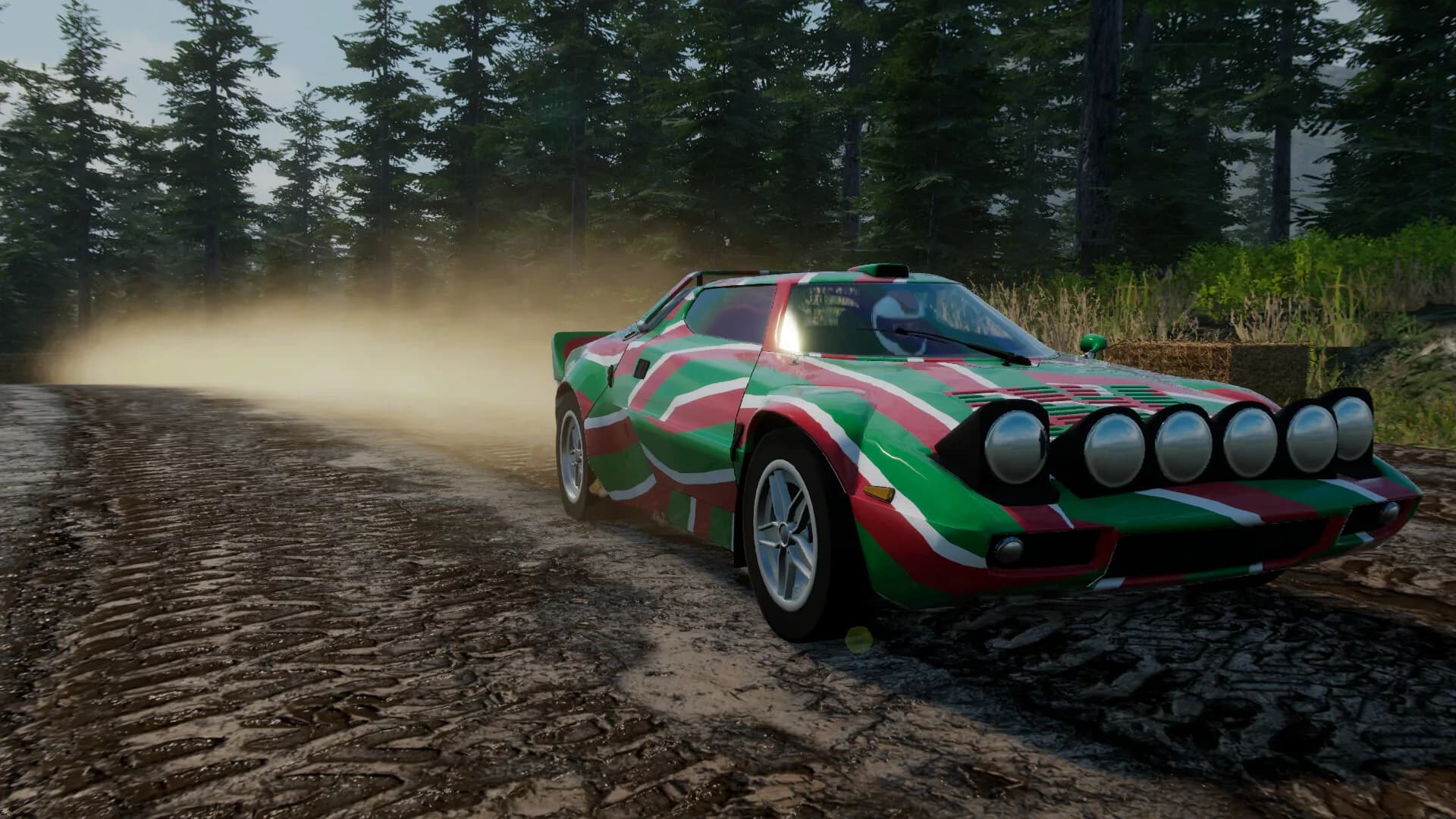 Rally Evolution 2025 görsel 8