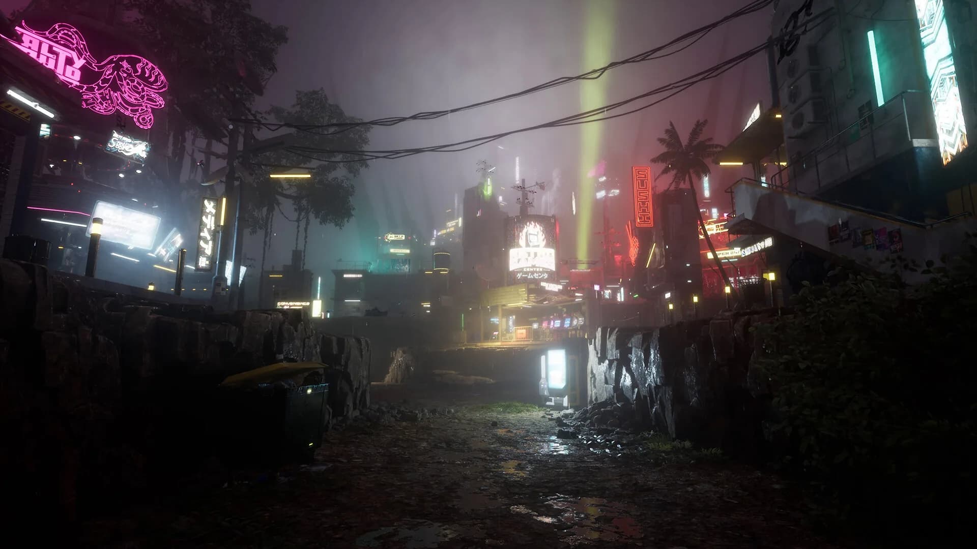 Drizzlepath: Picturae görsel 5