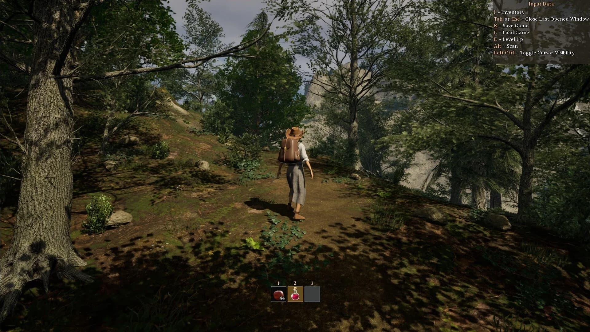 The Wandering Trader görsel 13