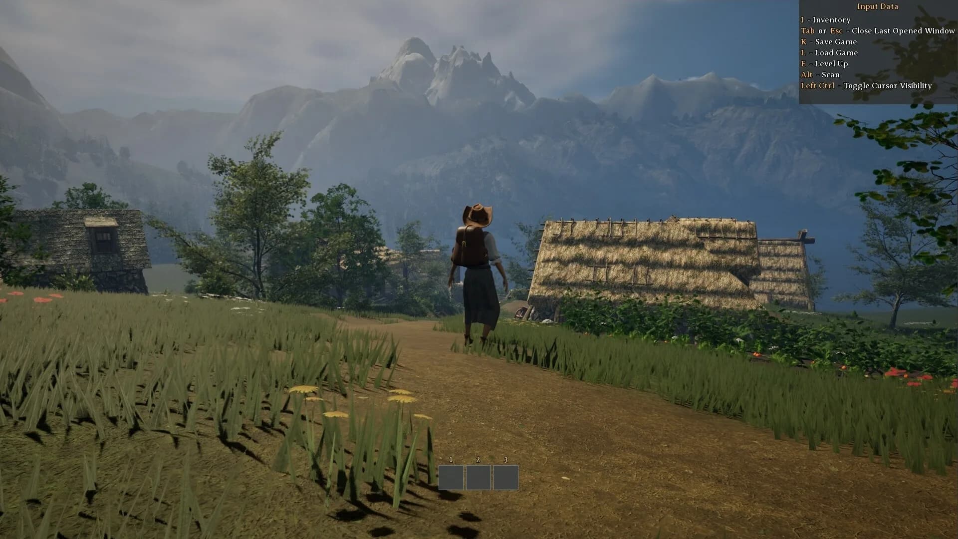 The Wandering Trader görsel 7